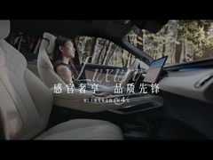 Song L EV 550km além de 5 portas 5 lugares SUV