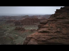 Leopardo 5 na Montanha