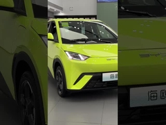 Byd Gavião-marinho verde fluorescente